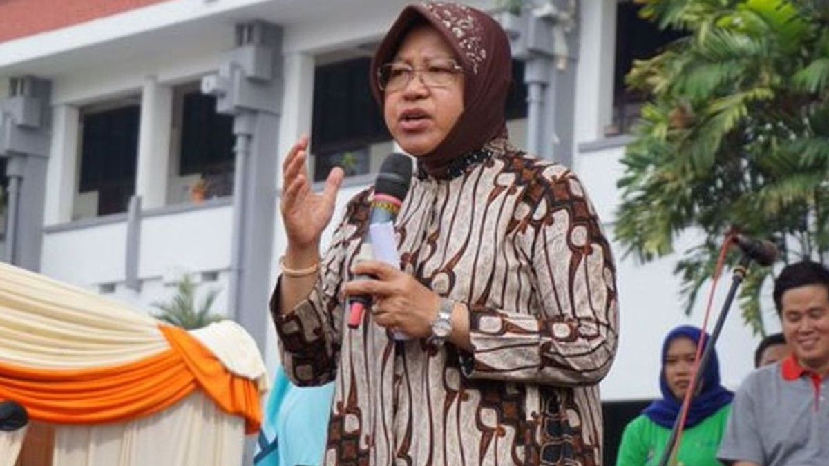 Viral, Les Habitants De Nusa Tenggara-Est Refusent De Rencontrer Risma, Ministre Des Affaires Sociales: Pas De Rejet