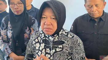 Ministry Of Social Budget Drops In 2024, Risma: El Nino BLT Is Not Budgeted
