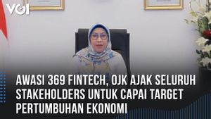  VIDEO: OJK Awasi 369 Fintech, Ajak Kembangkan Inovasi Keuangan Digital Bersama