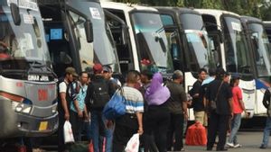 KNKT: Kalau Berwisata dengan Bus, Kasih lah Sopirnya Tempat Beristirahat yang Layak, Jangan di Bagasi