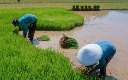 Pengusaha Sebut Program Makan Bergizi Gratis Ciptakan Agro Industri di Perdesaan