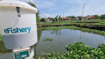 EFishery Collaborates With Food Guard To Distribute Fish To Prosperous Communities In Surabaya, This Is The Goal