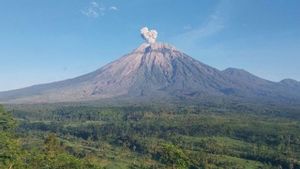 Gunung Semeru Erupsi dengan Abu Vulkanik ke Arah Barat Daya