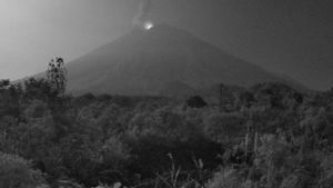 塞梅鲁火山在103秒内恢复喷发