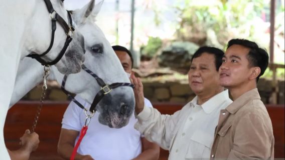 Prabowo-Gibran Bakal Deklarasi di Indonesia Arena GBK Sebelum Daftar ke KPU