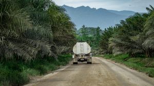Program Biodiesel Efektif Tekan Impor BBM