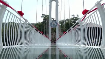 这座位于越南的玻璃桥于去年四月开放，打破了吉尼斯世界纪录