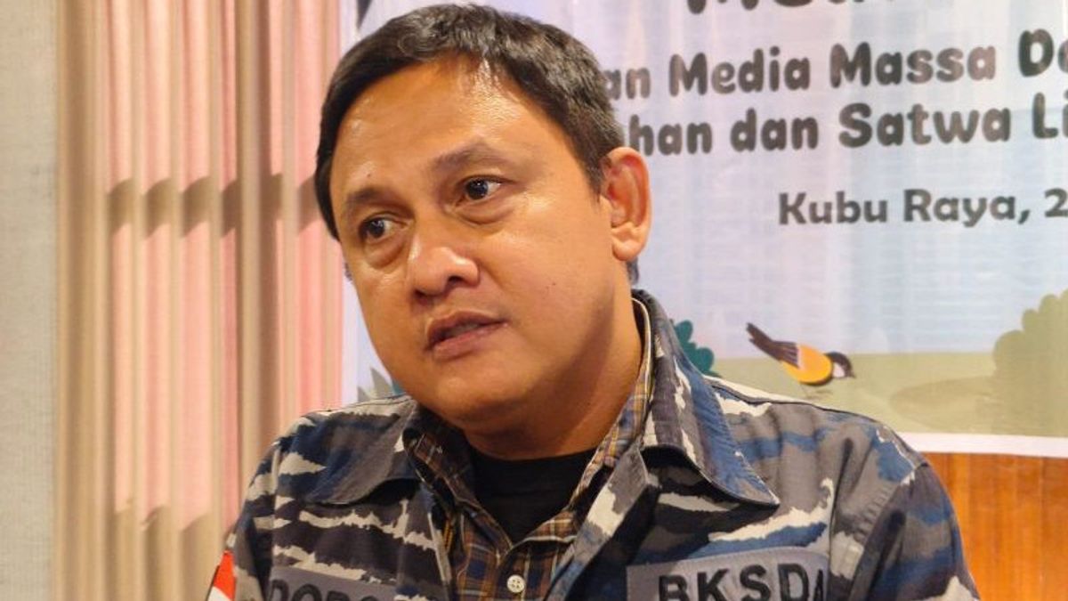Head Of West Kalimantan BKSDA: Wildlife Smuggling Actions Are Worrying