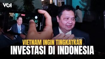 Vietnam Ingin Tingkatkan Investasi di Indonesia, Airlangga Hartarto Sambut Baik