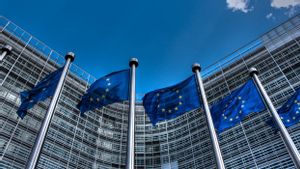 Rampungkan Pengisian Kuisioner untuk Gabung Uni Eropa, Pejabat Ukraina: Kami Mengharapkan Rekomendasi