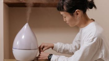 雨の季節に家の中の快適さのために加湿器を置くためのガイド