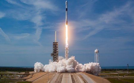 SpaceX Berhasil Bawa 105 Satelit ke Luar Angkasa dalam Misi Rideshare, Milik Siapa Saja?