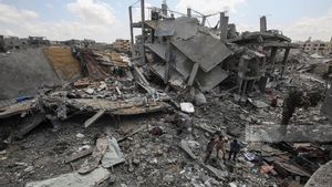 Organisasi HAM Israel Akui 2025 Tahun Paling Mematikan dan Merusak Bagi Warga Palestina