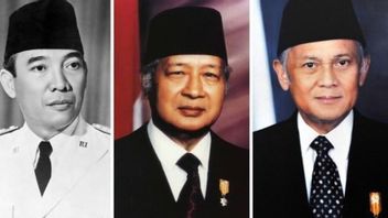 3个事实 为什么总统总是来自爪哇部落