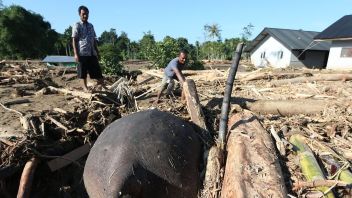 Legislator Gerindra: Pemanfaatan Kayu Hanyut Percepat Rehabilitasi Pasca Banjir Sumatera