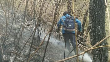 Pemadaman Kebakaran di Lereng Gunung Kawi Malang Terkendala Medan Ekstrem