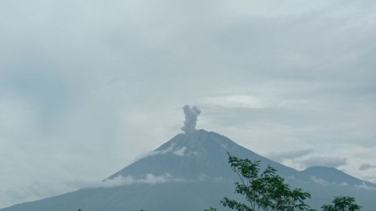 スメル山が再び噴火し、噴火の高さが600メートルに達する