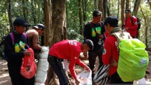 Sukarelawan Berhasil Turunkan 150 Karung Sampah dari Atas Gunung Gede Pangrango