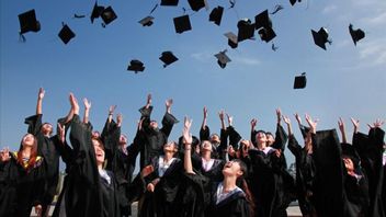 4 教育和文化部开设的2023年高级奖学金类型,查克类别