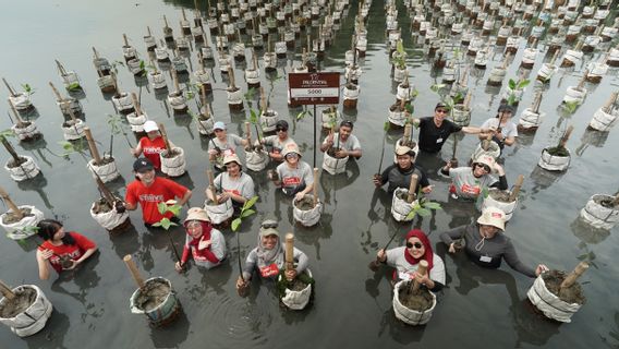 Peringati Hari Bumi, Prudential Indonesia Tanam 5.000 Mangrove di Pulau Harapan Kepulauan Seribu