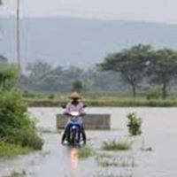 116 Hektare Sawah di Tulungagung Rusak Terendam Banjir, Kerugian Mencapai Rp700 Juta Lebih