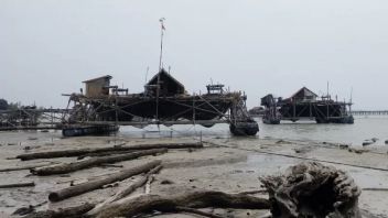 Ratusan Kelong Apung Alat Cari Ikan Nelayan Kepri <i>Nyender</i> di Bibir Pantai Tak Melaut Imbas Cuaca Buruk