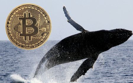 Paus Bitcoin Pindahkan 94.504 BTC Senilai Rp95 triliun ke Tiga Alamat Baru