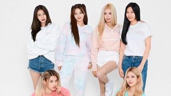 Berita Korea: Momoland Siap 