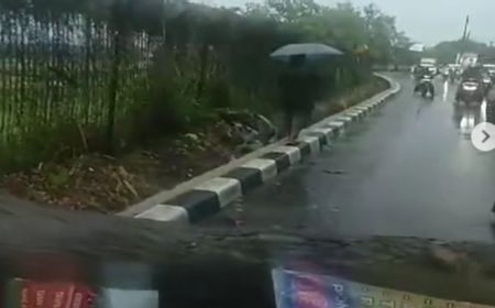 Pohon Angsana di Jalan Raya Pondok Cabe Tumbang, Satu Orang Pemotor Luka-luka