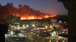 Forest Fires In Los Angeles: Tens Of Thousands Of People Refuge, Vice President Kamala Harris's House Is In The Evacuation Zone