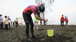 Ikut Bareng Pramuka Tanam Ribuan Pohon di Pantai Tirang, Ganjar: Ditanam Tapi Enggak Dijaga, Ya Eman