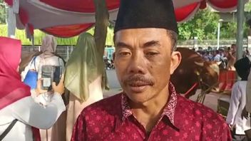 A Story From A Sacrificial Keeper Of Jokowi And Ma'ruf Amin's Sacrificial Cows, Until You Can't Say Anything