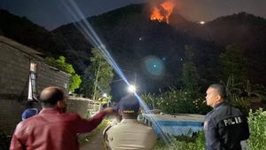 Kebakaran di Hutan Lereng Gunung Telomoyo Semarang Berhasil Dipadamkan Petugas