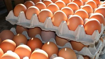 鸡蛋价格上涨，贸易部长卢特菲带来好消息：它不会太久，2022年1月下跌