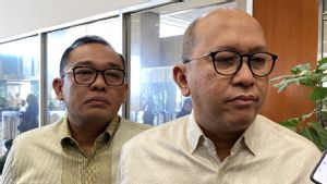 Bos Danantara soal MK Larang Wamen Rangkap Jabatan Komisaris: Kita akan Ikuti