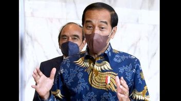 Jokowi Ajak Gubernur Kemah di IKN Nusantaran, Anggota DPR Tanyakan Manfaatnya
