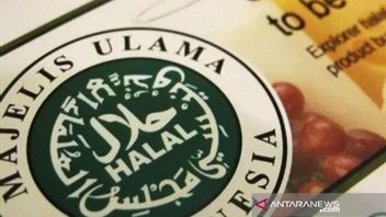 Self Declare Line Halal Certification: Complete Guidelines For MSMEs