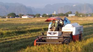 Berita Pertanian Sulsel: Petani Sulsel Berharap Harga Pembelian Bulog Dapat Bersaing dengan Harga Pasar