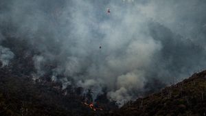 Russie : des dizaines d'incendies de forêt en Russie : 5 000 déployés