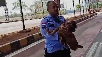 Bayi Terbungkus Kain di Terminal Pulogebang Dibawa ke Panti Balita Cipayung