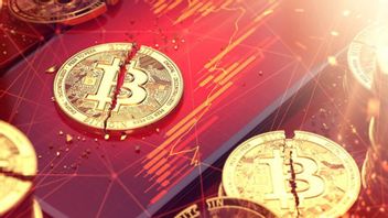 Apa Penyebab Harga Bitcoin dan Uang Kripto Lainnya Anjlok di Tahun 2021 Ini?