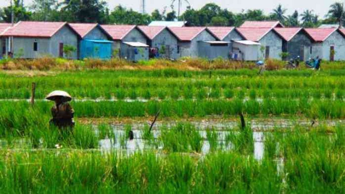 プラボウォ:年間10万ヘクタールの水田が失われ、工場-住宅に変わる