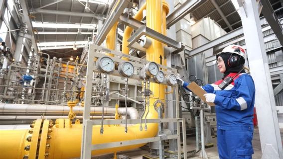 石化产品发电厂Pertamina预计到2024年在Sumbagut销售4000万公斤甲醇