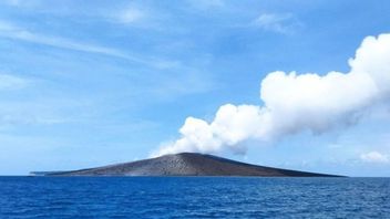 Tuesday Morning, Mount Anak Krakatau Erupted Again And Abu's High Reaches 700 Meters
