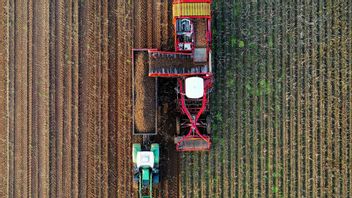 Mechanization In The Agricultural Sector Helps Overcome Food Fulfillment Challenges In Indonesia
