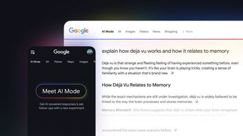 Google Trial Merger Feature AI Overview And AI Mode