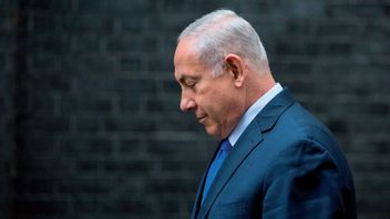 内塔尼亚胡坚称,尽管ICJ裁决,以色列仍将继续袭击加沙