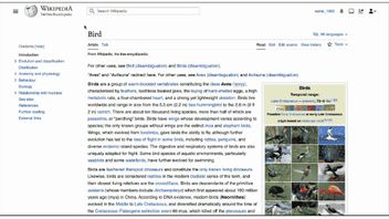 维基百科界面在10多年后终于进行了大修