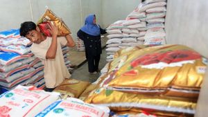 Penghapusan Beras Premium Tak Serta Merta Menjawab Kekisruhan Dunia Perberasan