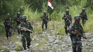 Komisi I DPR Usul Bentuk Timsus Usut Kasus Mutilasi di Papua oleh 6 Anggota TNI